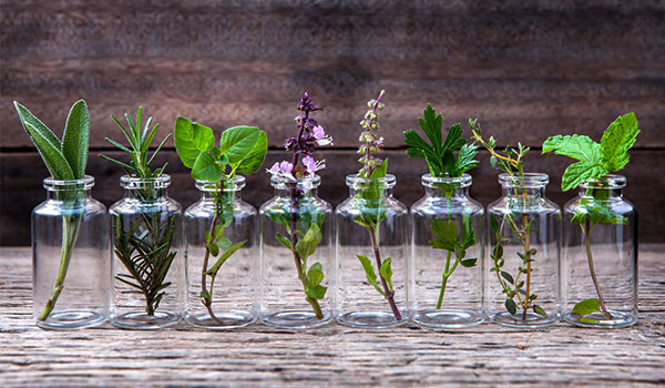 5 HERBS THAT BOOST WEIGHT LOSS