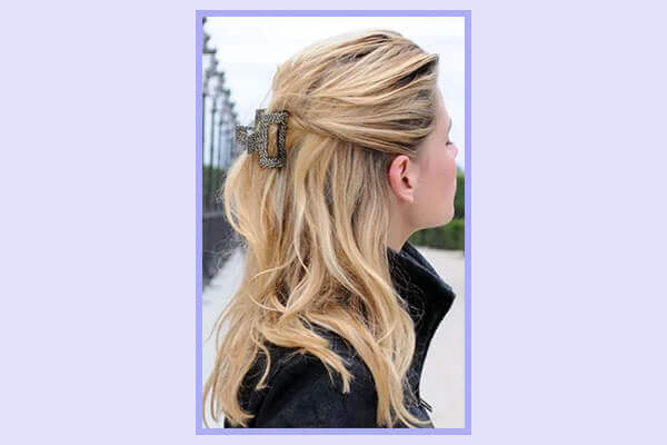 Double claw clip Double claw clip