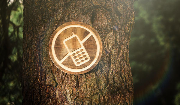 SHUT DOWN AND SIGN OUT; WOULD YOU DARE TO TRY A DIGITAL DETOX?